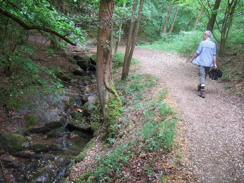 2011-05- (166).JPG - Nach einem kleinen erfrischenden Regenschauer geht es im Wald an einem plätschernden Bach entlang